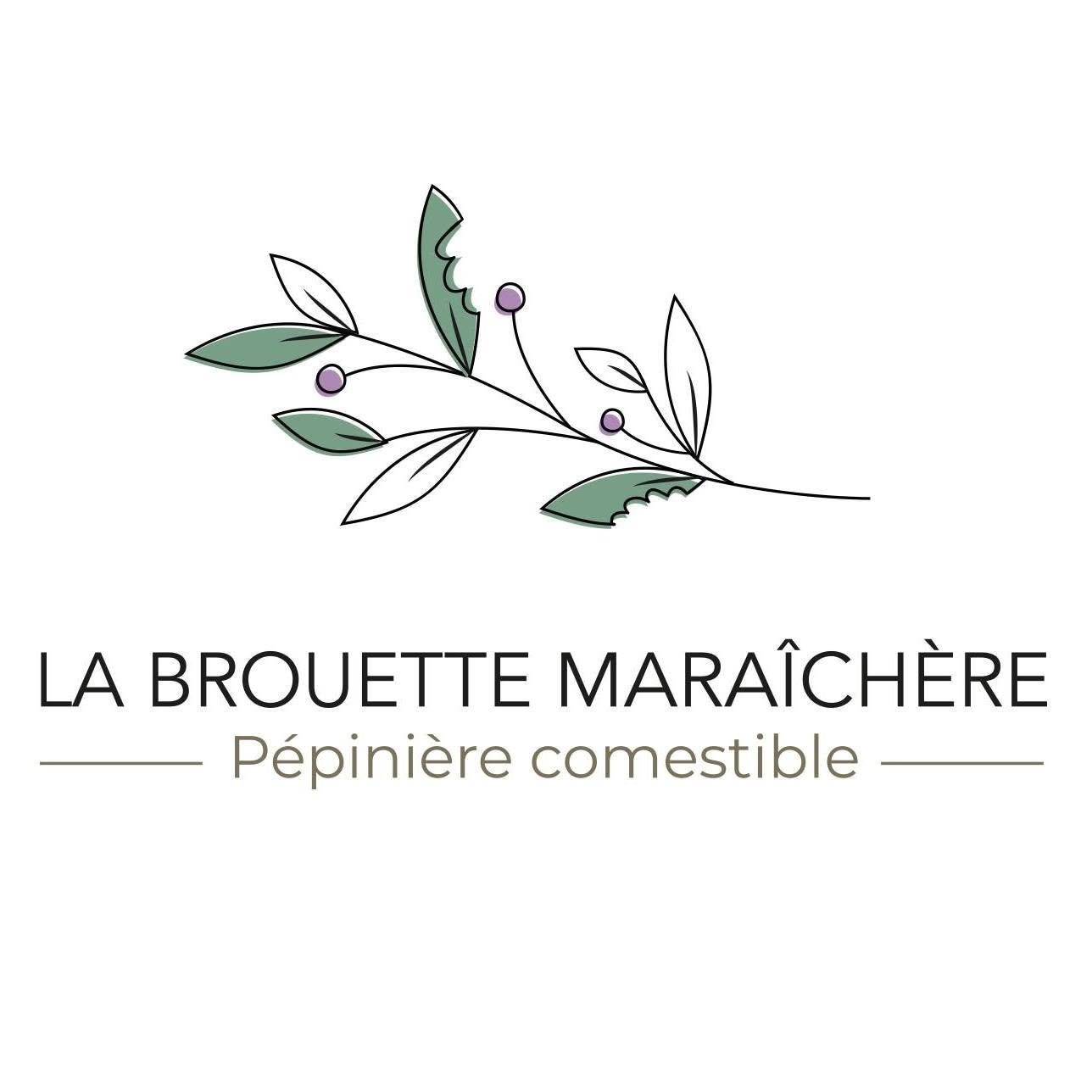 La Brouette Maraîchère - logo
